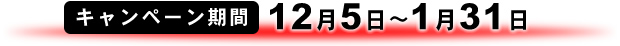期間:12月5日〜1月31日
