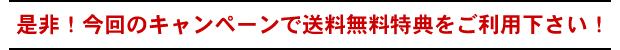 是非!今回のキャンペーンで送料無料特典をご利用下さい!